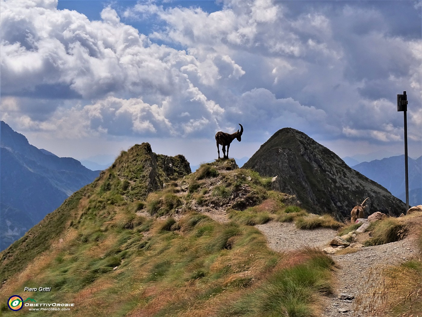 57 Il Passo della Selletta (2372 m) presidiato da due stambecchi.JPG